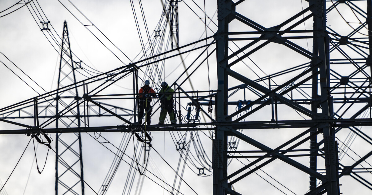 Grid package: Council cuts back on central planning • Table.Briefings