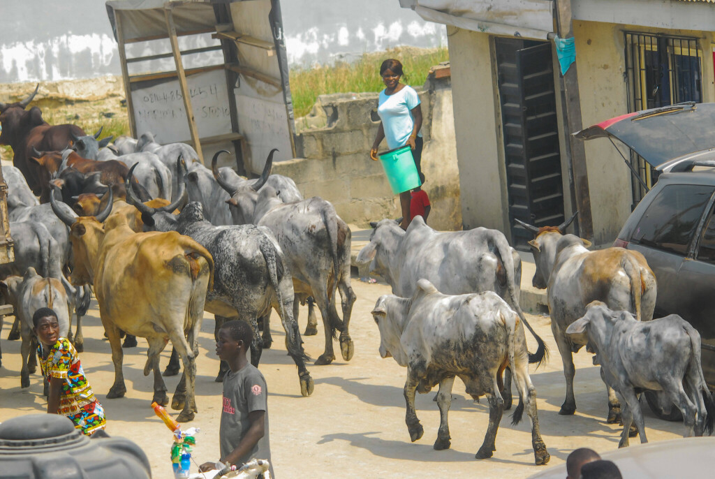 Nigeria: How climate change is exacerbating religious conflicts • Table ...