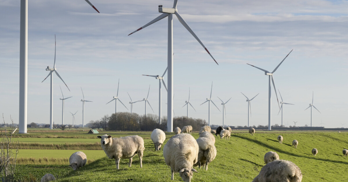Electricity market: The benefits of a cross-border electricity price ...