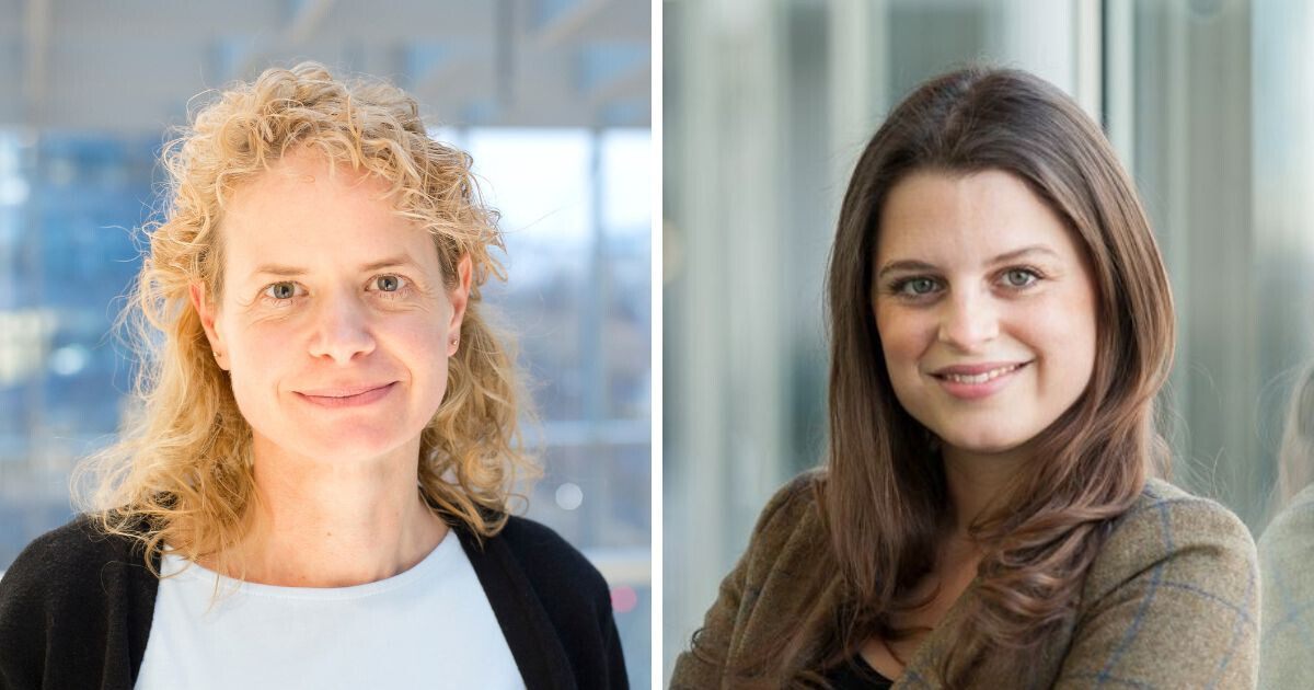 EU Inc.: From a tool for startups to a parallel legal framework for corporations