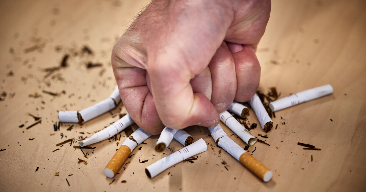 tobacco eu Tobacco control: What measures the EU Commission is planning • Table.Briefings tobacco eu Tobacco control: What measures the EU Commission is planning • Table.Briefings