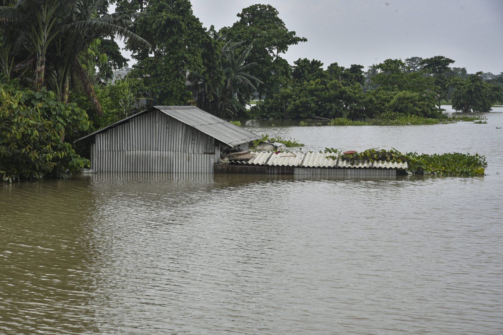 Climate finance: Germany provides €60 million for adaptation fund